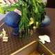 Image for article titled ProFlowers Delivers Sparse-Ass Bouquets Instead of Lush Pictured Flowers